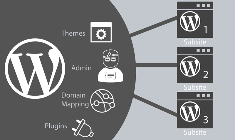 Wordpress Multisite