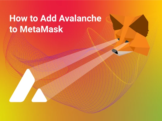 Connect Avalanche Network to Metamask